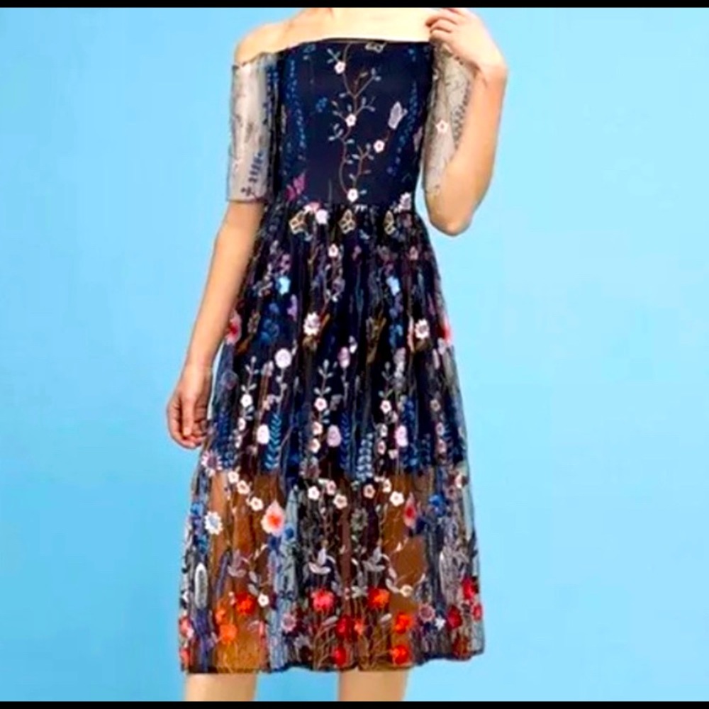 Anthropologie dress